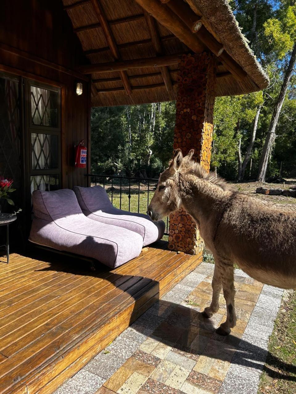 Shabby Fufu Lifestyle Farm Villa Plettenberg Bay Bagian luar foto